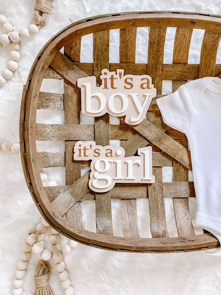 Gender Reveal Announcement Bundle-Boy/Girl