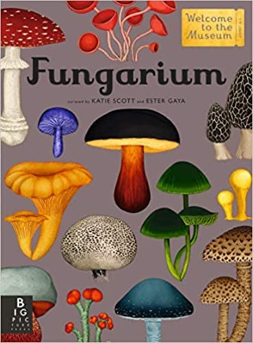 Fungarium – Katie Scott and Ester Gaya